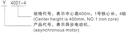 西安泰富西玛Y系列(H355-1000)高压YJTG-250M-2A/55KW三相异步电机型号说明