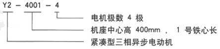 YR系列(H355-1000)高压YJTG-250M-2A/55KW三相异步电机西安西玛电机型号说明